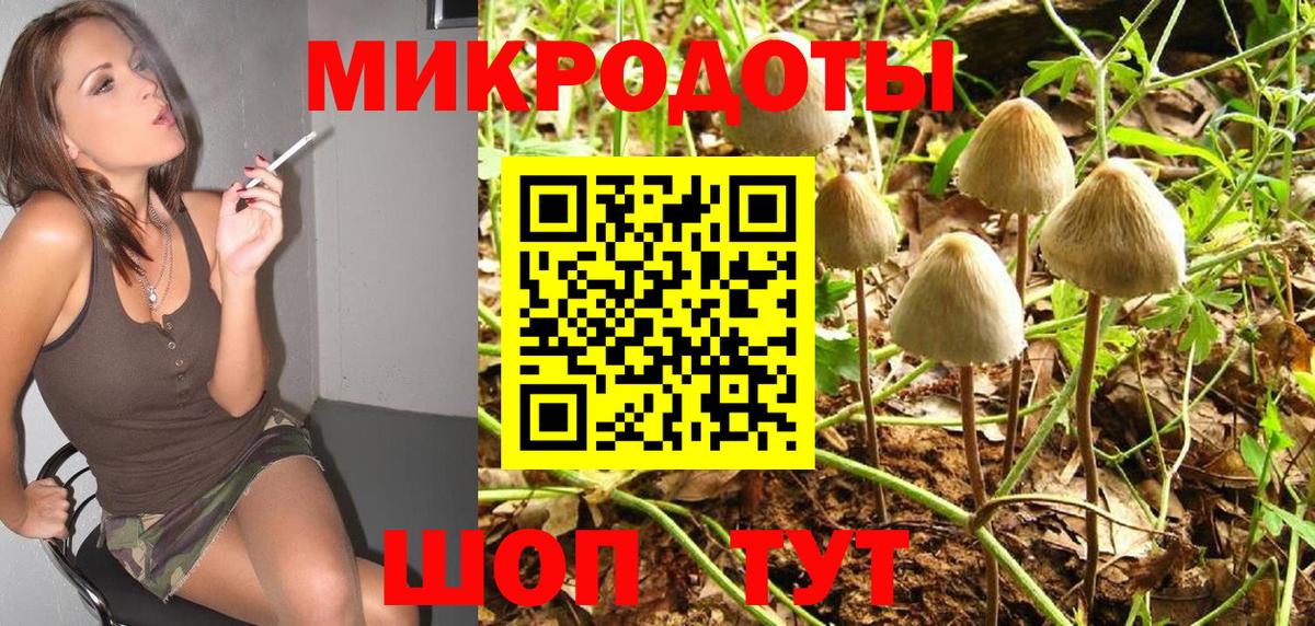 Сосновый Бор  Галлюциногенные грибы мухоморы  Псилоцибиновые грибы Cubensis  Вход с VPN 
